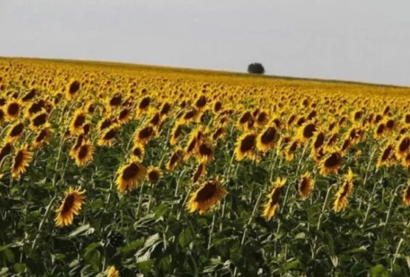 Foto - Türkiye'deki şehirlerin isimleri nereden geliyor? İşte enteresan hikayeleri