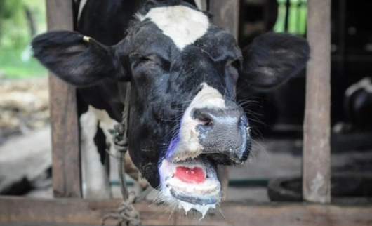 Foto - Tarlalara gizlice yerleştirmeye başladılar! Büyük skandal, Türkiye saldırı altında... Saniyeler içerisinde küle çeviriyor