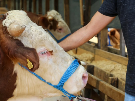 Foto - Tarlalara gizlice yerleştirmeye başladılar! Büyük skandal, Türkiye saldırı altında... Saniyeler içerisinde küle çeviriyor