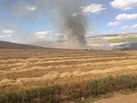Foto - Tarlalara gizlice yerleştirmeye başladılar! Büyük skandal, Türkiye saldırı altında... Saniyeler içerisinde küle çeviriyor