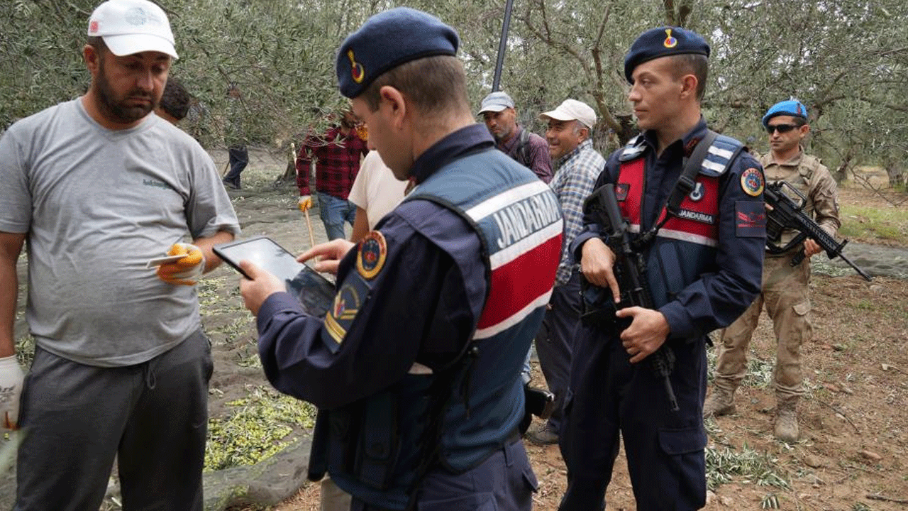 Foto - Türkiye'deki üretimin yüzde 10'u burada! Hırsızlara karşı silahlı nöbet