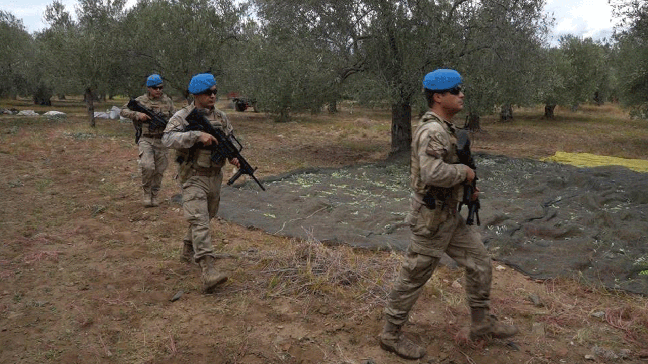 Foto - Türkiye'deki üretimin yüzde 10'u burada! Hırsızlara karşı silahlı nöbet