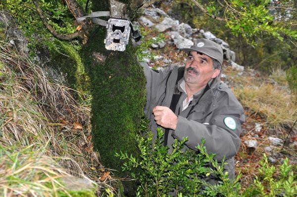 Foto - Türkiye'deki yaban hayatı böyle görüntülendi