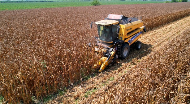 Foto - Türkiye’dekinin yüzde 14’ünü karşılıyor! Stratejik ürün üretimine büyük darbe