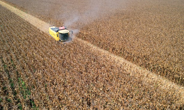 Türkiye’dekinin yüzde 14’ünü karşılıyor! Stratejik ürün üretimine büyük darbe