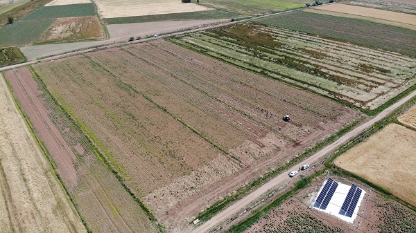 Foto - Türkiye'den alıp antibiyotik yapımında kullanıyorlar