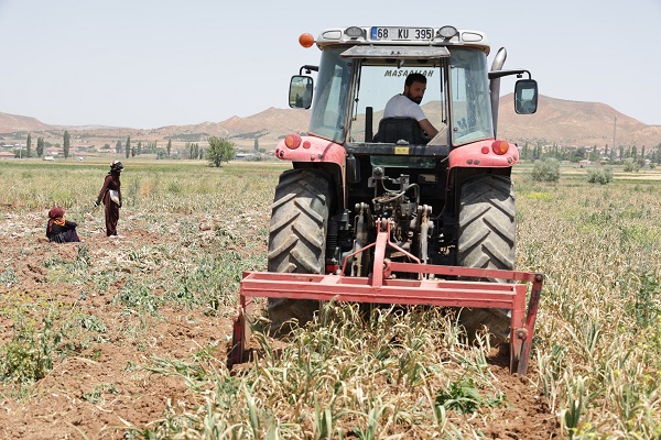 Foto - Türkiye'den alıp antibiyotik yapımında kullanıyorlar