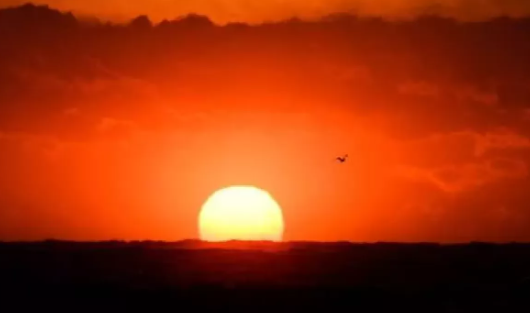 Foto - Türkiye'den arazi toplayan Bill Gates'in yeni adımı şok etti! Başımıza çok fena bela olacak