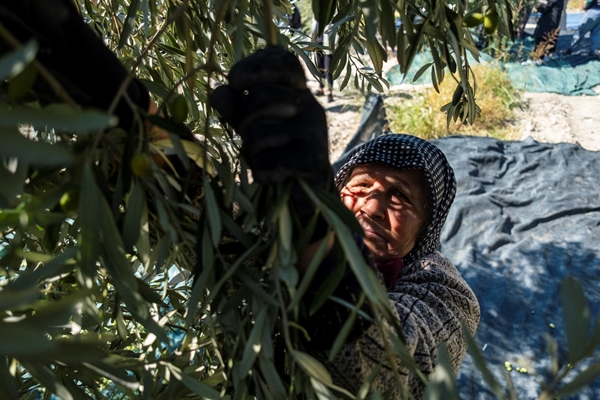 Foto - Türkiye'den başka çareleri yok! Tarihi fırsat
