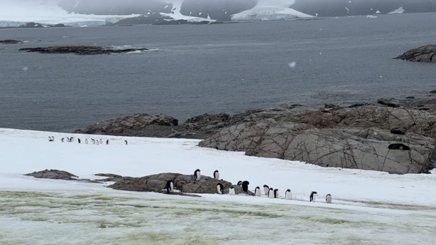 Foto - Türkiye’den Beyaz Kıta’da bilim diplomasisi