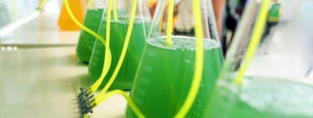 Foto - Türkiye'den bomba yeşil petrol hamlesi! 'Dünyada söz sahibi olabiliriz' diyerek müjde verildi