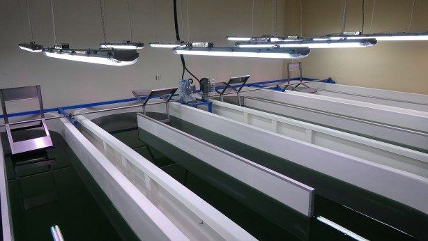 Foto - Türkiye'den bomba yeşil petrol hamlesi! 'Dünyada söz sahibi olabiliriz' diyerek müjde verildi