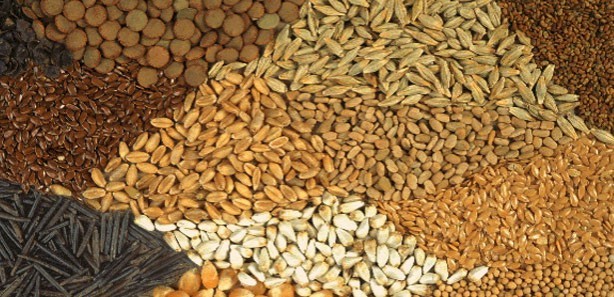 Foto - Türkiye’den büyük başarı! Birileri çok fena çıldıracak! Listeleri alt üst ettik