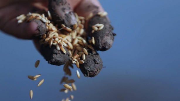 Foto - Türkiye’den büyük başarı! Birileri çok fena çıldıracak! Listeleri alt üst ettik