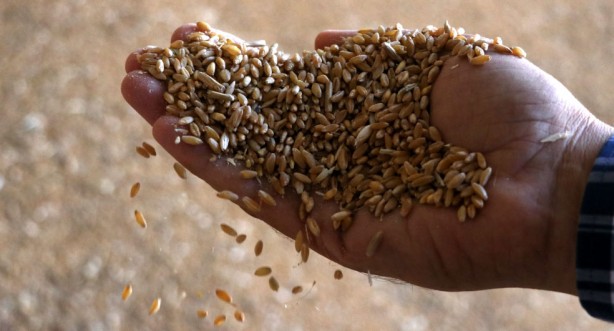 Foto - Türkiye’den büyük başarı! Birileri çok fena çıldıracak! Listeleri alt üst ettik