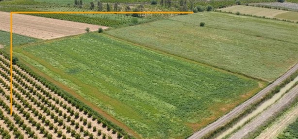 Foto - Türkiye'den de tarım arazisi toplayan Bill Gates açıkladı: Bunun için alıyorum