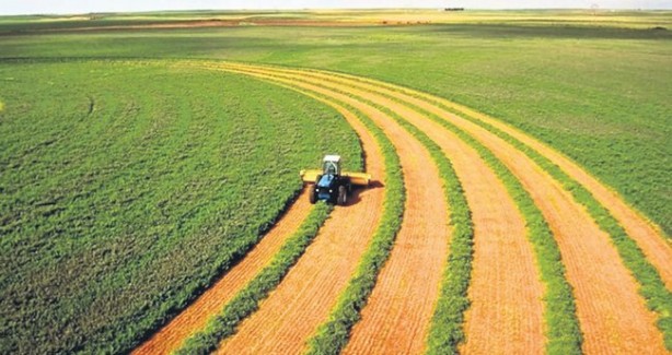 Foto - Türkiye'den de tarım arazisi toplayan Bill Gates açıkladı: Bunun için alıyorum