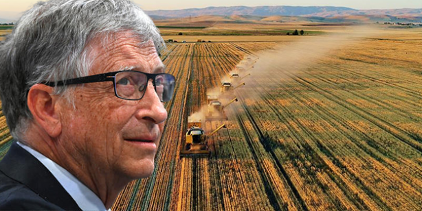 Türkiye'den de tarım arazisi toplayan Bill Gates açıkladı: Bunun için alıyorum