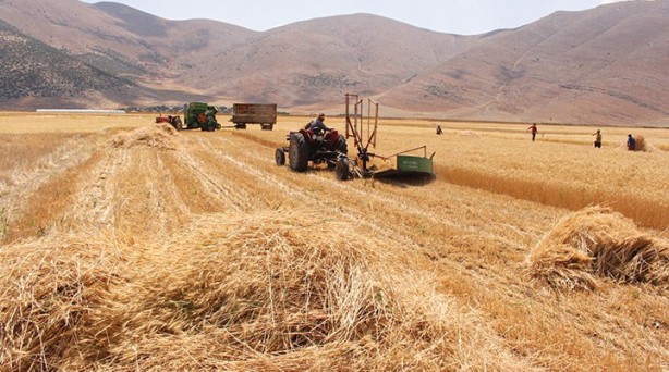 Foto - Türkiye'den de tarım arazisi toplayan Bill Gates açıkladı: Bunun için alıyorum