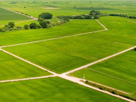 Foto - Türkiye'den de tarım arazisi toplayan Bill Gates açıkladı: Bunun için alıyorum