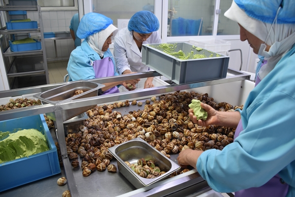 Foto - Türkiye'den Fransa'ya satılıyor! Tam 700 ton