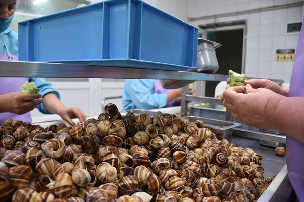 Foto - Türkiye'den Fransa'ya satılıyor! Tam 700 ton