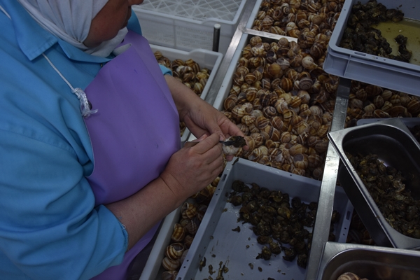 Foto - Türkiye'den Fransa'ya satılıyor! Tam 700 ton
