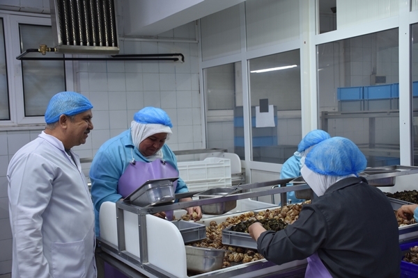 Foto - Türkiye'den Fransa'ya satılıyor! Tam 700 ton