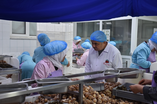 Foto - Türkiye'den Fransa'ya satılıyor! Tam 700 ton