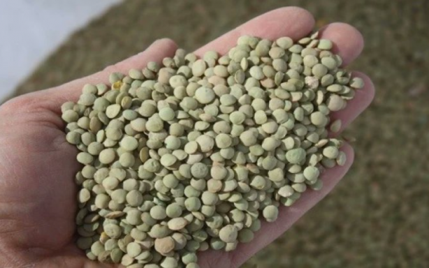 Foto - Türkiye'den gönderilen baharatlarda tespit edildi! Almanya apar topar ürünleri geri iade etti