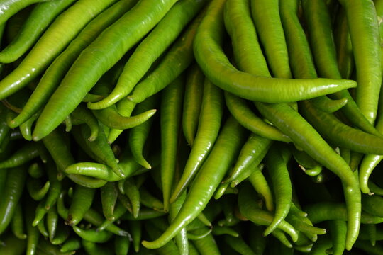 Foto - Türkiye'den gönderilen biberlerde tespit edildi! Bulgaristan ülkeye sokmadı, acil olarak iade edildi