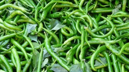 Foto - Türkiye'den gönderilen biberlerde tespit edildi! Bulgaristan ülkeye sokmadı, acil olarak iade edildi