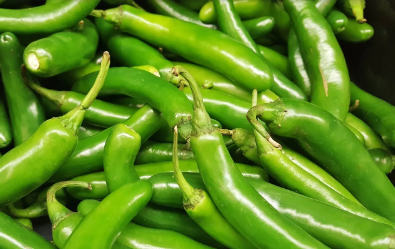 Türkiye'den gönderilen biberlerde tespit edildi! Bulgaristan ülkeye sokmadı, acil olarak iade edildi