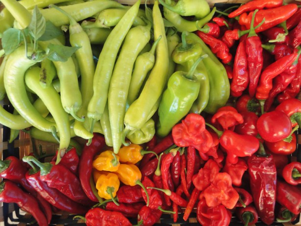 Foto - Türkiye'den gönderilen biberlerde tespit edildi! Tamı tamına 45 kat fazla... Hemen iade ettiler