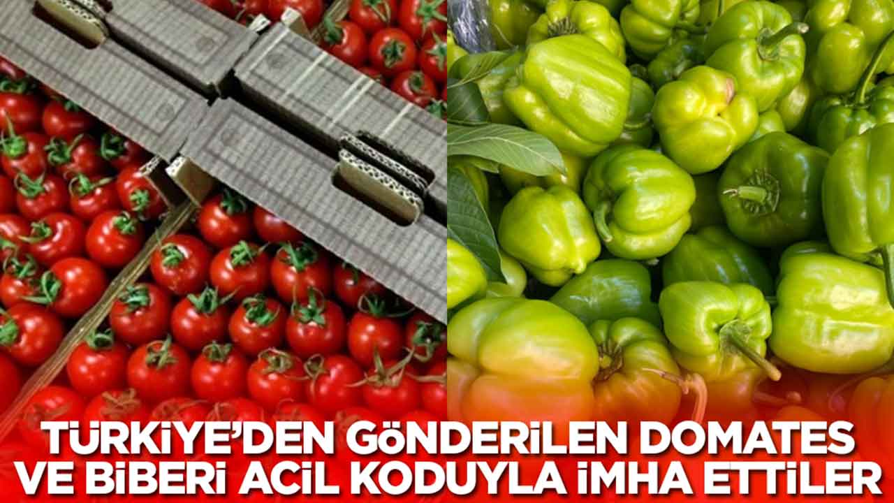Türkiye'den gönderilen domates ve biberleri acil koduyla imha ettiler