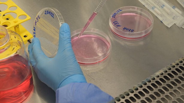 Foto - Türkiye'den kanserle ilgili 'devrimsel' buluş