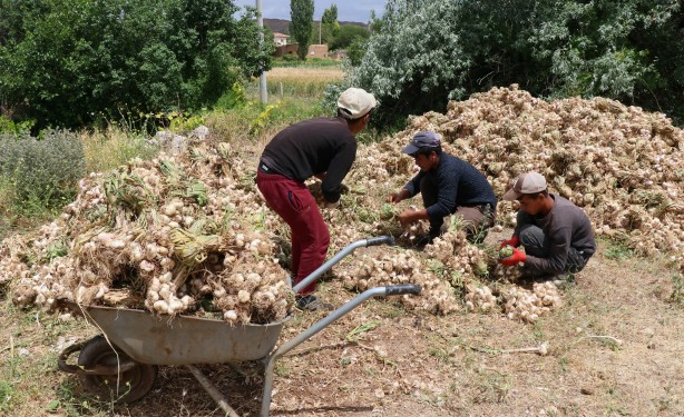 Foto - Türkiye’den kapış kapış alıyorlar! Rusya'dan sonra Almanya sıraya girdi