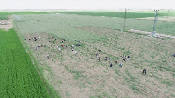 Foto - Türkiye’den kapış kapış alıyorlar! Rusya'dan sonra Almanya sıraya girdi