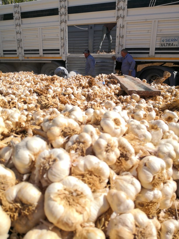 Foto - Türkiye’den kapış kapış alıyorlar! Rusya'dan sonra Almanya sıraya girdi