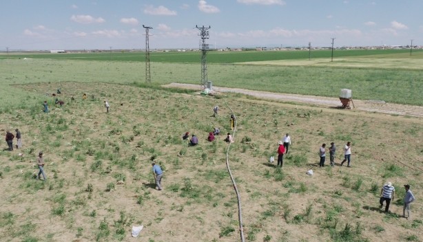 Foto - Türkiye’den kapış kapış alıyorlar! Rusya'dan sonra Almanya sıraya girdi