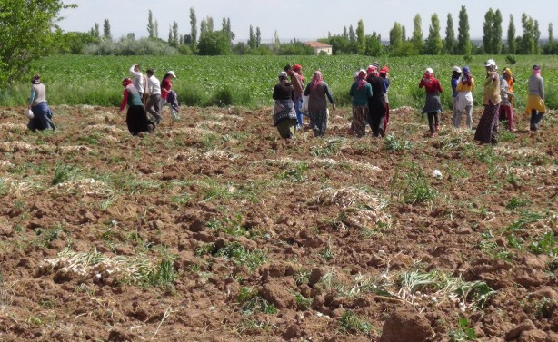 Foto - Türkiye’den kapış kapış alıyorlar! Rusya'dan sonra Almanya sıraya girdi