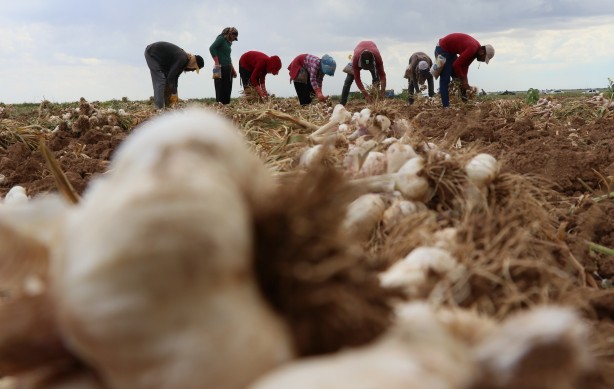 Foto - Türkiye’den kapış kapış alıyorlar! Rusya'dan sonra Almanya sıraya girdi