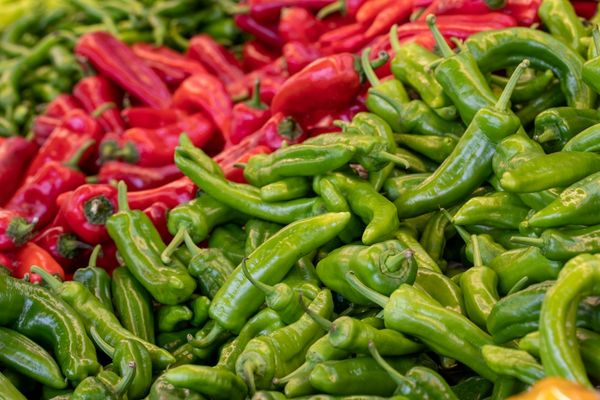 Foto - Türkiye'den limon ve biber alımını durdurdular! Sebebi herkesi tedirgin edecek