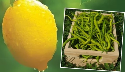 Foto - Türkiye'den limon ve biber alımını durdurdular! Sebebi herkesi tedirgin edecek