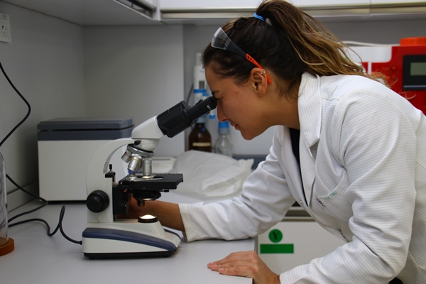 Foto - Türkiye'den müthiş hamle! Dünyada sayılı