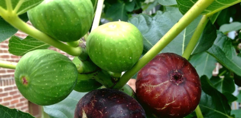 Foto - Türkiye'den savaş gemisi alan Malezya duyurdu: Şimdi ona talibiz, istiyoruz