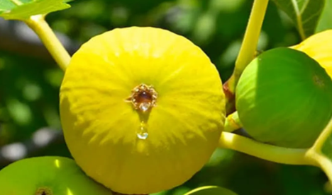 Foto - Türkiye'den savaş gemisi alan Malezya duyurdu: Şimdi ona talibiz, istiyoruz