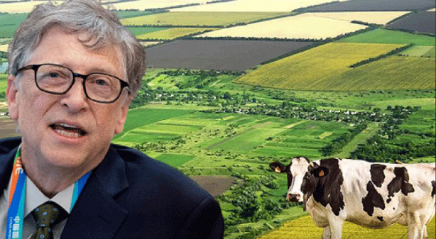Türkiye'den tarım arazisi toplayan Bill Gates yine bir şeyler peşinde! O ilimizde görüldü