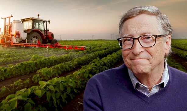 Türkiye'den tarım arazisi toplayan Bill Gates'ten tartışma çıkaran sözler: Ağaçla olmaz