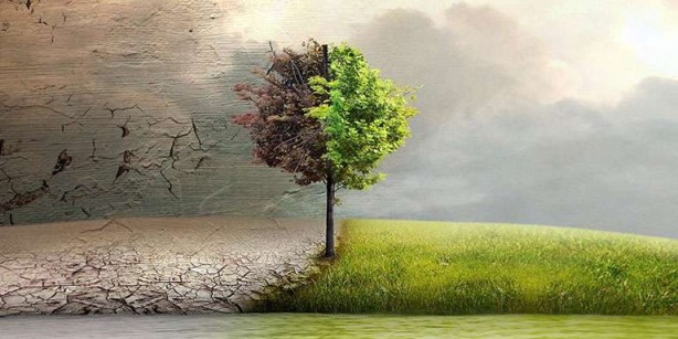 Foto - Türkiye'den tarım arazisi toplayan Bill Gates'ten tartışma çıkaran sözler: Ağaçla olmaz